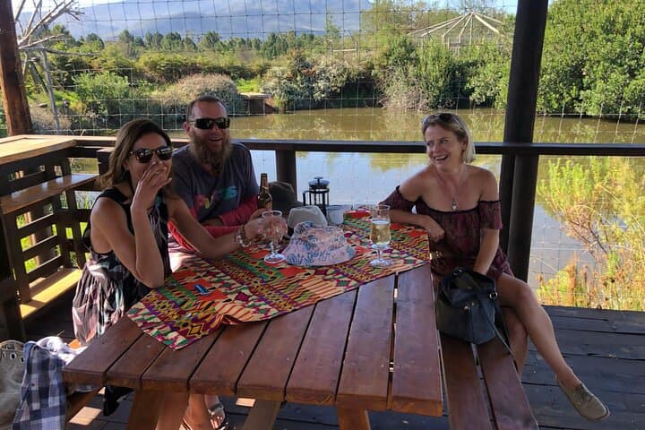 Cats in Conservation at Tenikwa: Full-Day Wildlife Rehabilitation Experience in Plettenberg Bay photo 4