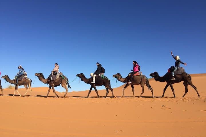 Merzouga Sahara & Atlas Mountains: 3-Day Fez to Marrakech Desert Tour