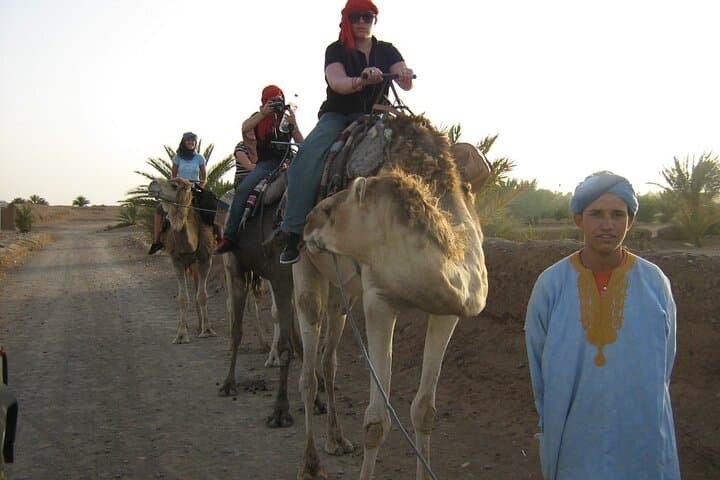 Dromedary in Agafay: Half-Day Camel Ride from Marrakech