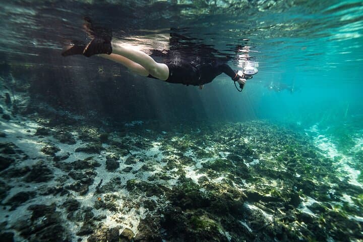 Snorkel the Crystal Currents of Rio Sucuri: A 4-Hour Bonito Adventure photo 6