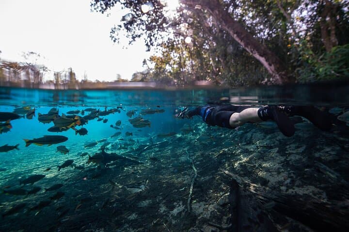 Snorkel the Crystal Currents of Rio Sucuri: A 4-Hour Bonito Adventure photo 2