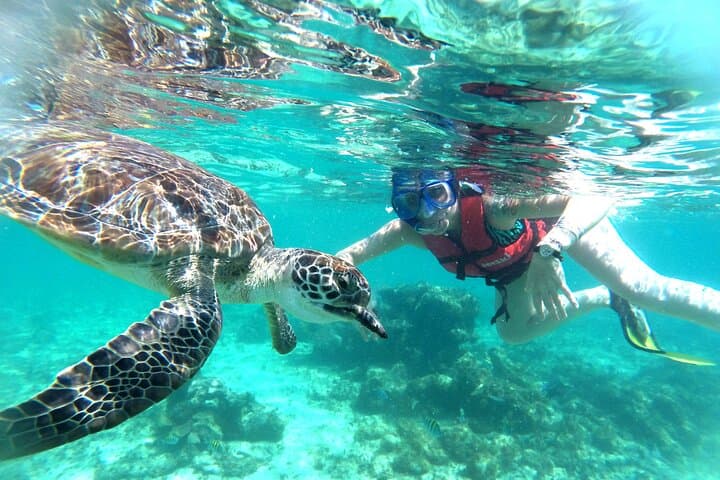 Tulum Ruins, Akumal Turtle Snorkel & Underground Cenote Swim photo 2