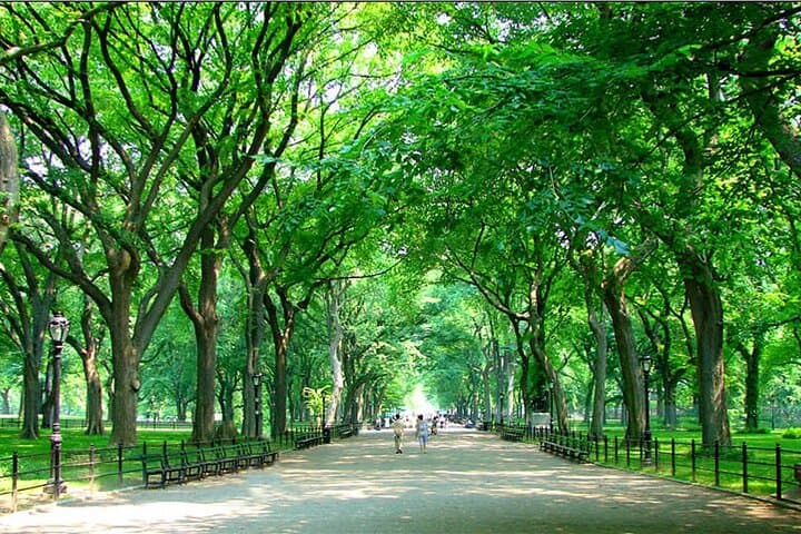 Private Central Park Walking Tour: History, Hidden Secrets & Iconic Sights photo 3