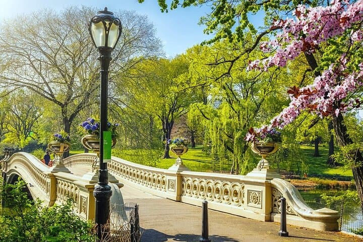 Private Central Park Walking Tour: History, Hidden Secrets & Iconic Sights photo 5