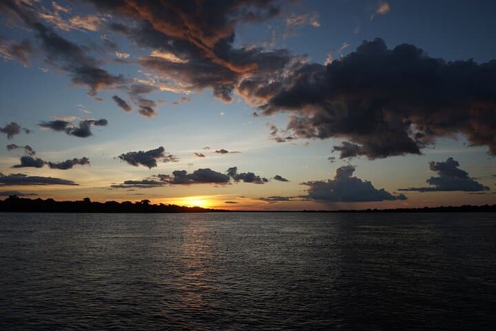 Manaus Night Caiman Spotting: Amazon Night-Boat Wildlife Tour photo 2