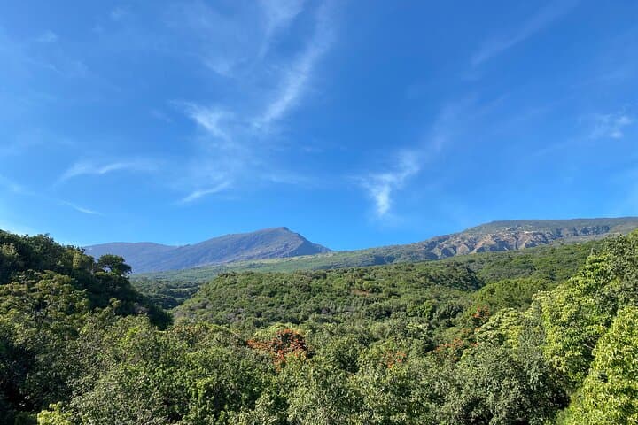 Hana Rainforest Tour: Road to Hana, Black Sand Beach & Waterfall Swim photo 6