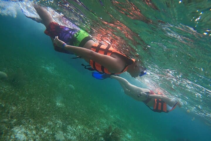 Puerto Morelos Snorkel Adventure: Second-Largest Reef Wall Day Trip photo 2