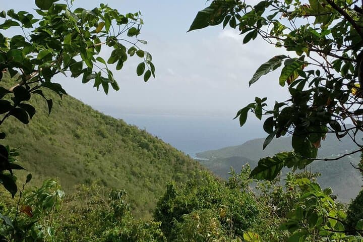 Coastal Hike and Swim Tour in St. Martin/St. Maarten — Pic Paradis, Nature Reserve & Happy Bay photo 4
