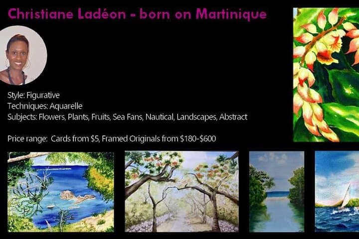 St. Martin Art Tour: Small-Group Visits to Local Artists on St. Maarten photo 4