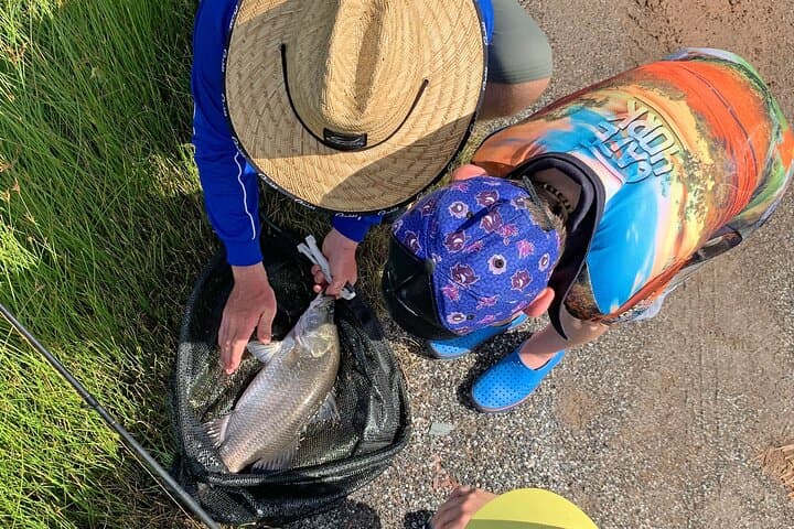 Hook-A-Barra: A Daintree Barramundi Farm Tour and Catch Experience