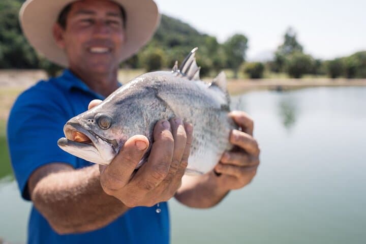 Hook-A-Barra: A Daintree Barramundi Farm Tour and Catch Experience photo 4