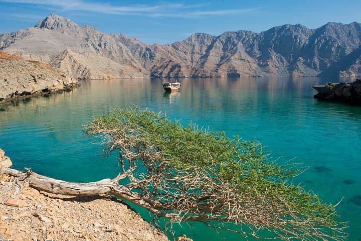 Khasab Musandam Half-Day Dhow Cruise: Dolphins, Snorkeling & Telegraph Island photo 3