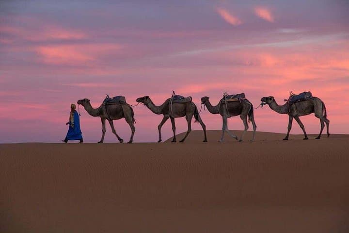 Four-Day Marrakech to Merzouga Desert Tour: Camel Trek, Kasbahs & Erg Chebbi photo 1