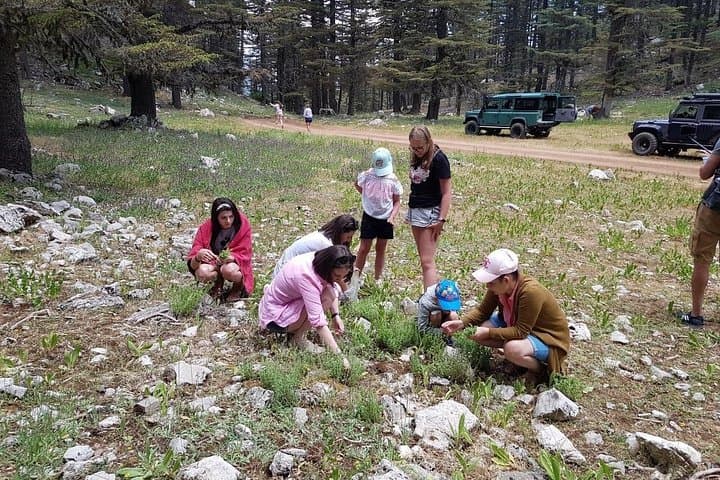 Taurus Mountains Jeep Safari from Kemer — Off‑Road Trails, Rivers & Byzantine Ruins photo 3