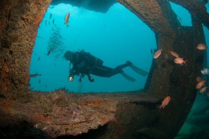 Discover Scuba Diving in Sal: Introductory PADI Dives from Santa Maria photo 4