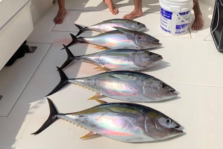 Playa Flamingo Full-Day Private Fishing Trip — Pacific Sportfishing Adventure photo 2