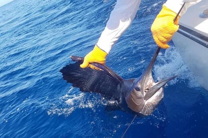 Playa Flamingo Full-Day Private Fishing Trip — Pacific Sportfishing Adventure photo 5