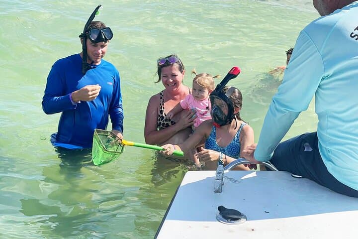 St. Pete Eco Island Hop: 3-Hour Private Gulf Wildlife & Snorkel Tour