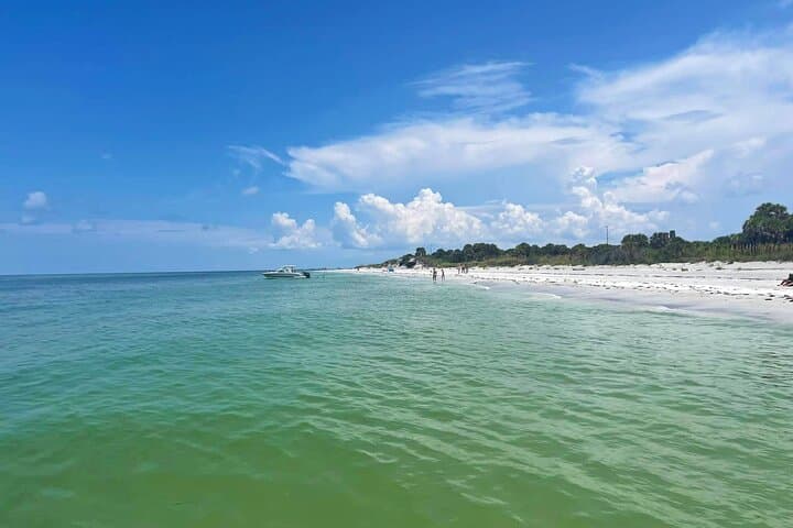 St. Pete Eco Island Hop: 3-Hour Private Gulf Wildlife & Snorkel Tour photo 4