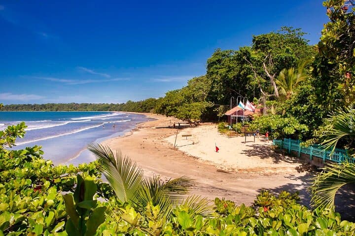 Private Transfer San José to Cahuita — Door-to-Door Ride to Costa Rica’s Caribbean Coast photo 3