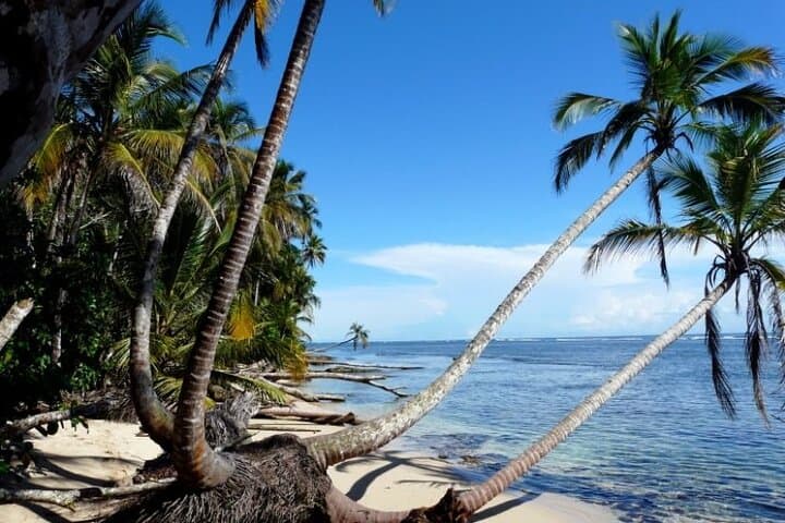 Private Transfer San José to Cahuita — Door-to-Door Ride to Costa Rica’s Caribbean Coast photo 4