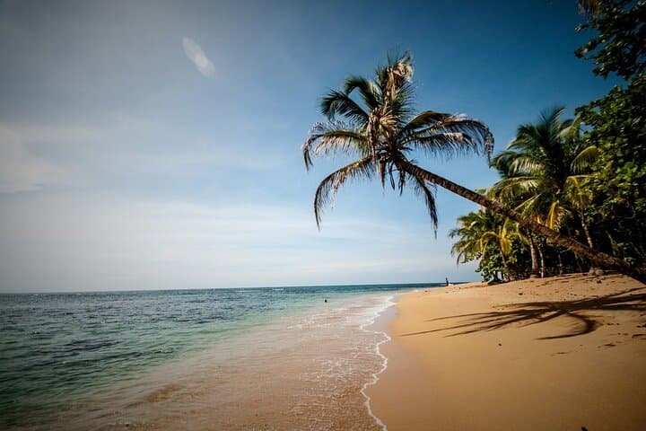 Private Transfer San José to Cahuita — Door-to-Door Ride to Costa Rica’s Caribbean Coast photo 5