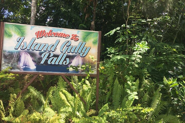 Blue Hole & Sun Valley Farm Private Tour from Ocho Rios