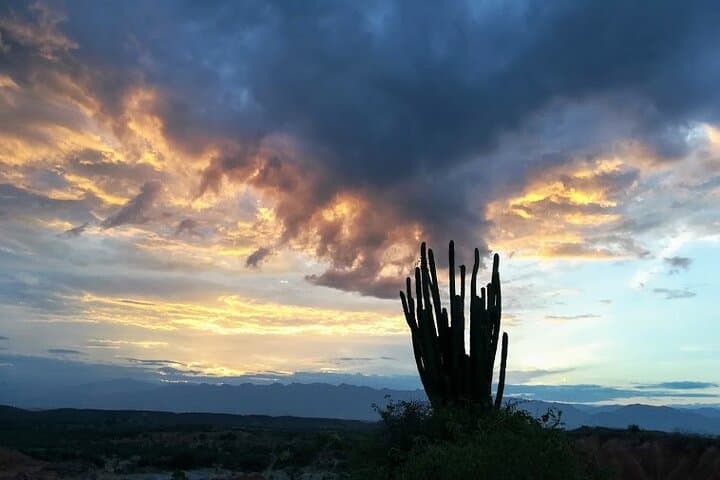 Tatacoa Desert Day Trip: Stargaze, Red Rock Viewpoints & Local Lunch photo 4