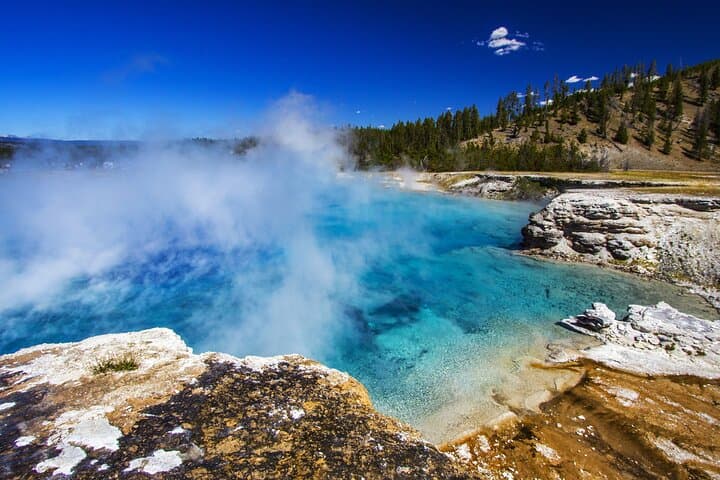 Private Family Yellowstone Day Tour: Grand Prismatic, Old Faithful & Wildlife with Lunch photo 3