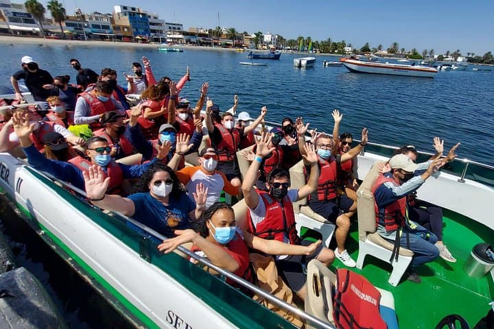 Paracas and Huacachina Day Trip: Ballestas Islands, Pisco Tasting & Dune Buggies photo 4