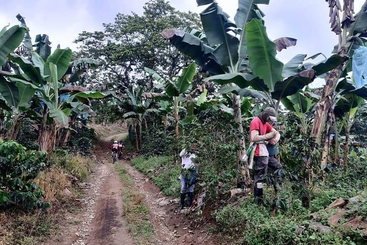 Coffee Axis: 3-Day Bike Tour Through Colombia's Coffee Mountains photo 3
