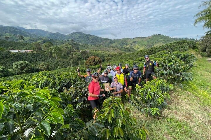 Coffee Axis: 3-Day Bike Tour Through Colombia's Coffee Mountains photo 4