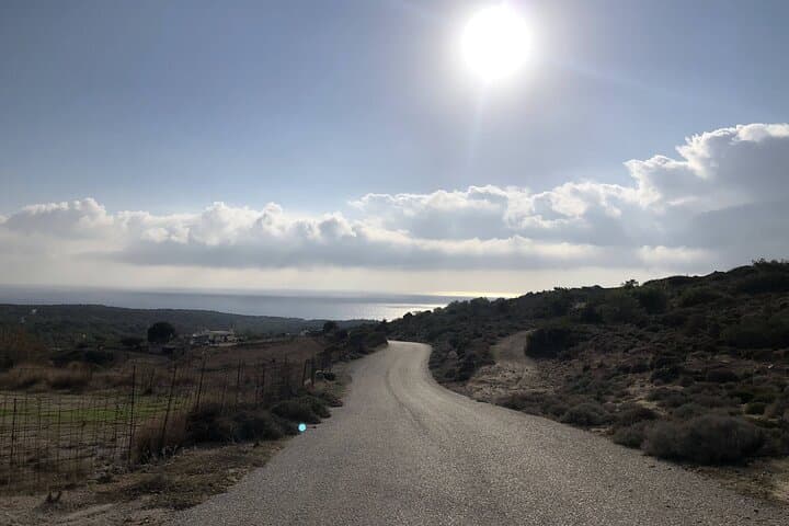 Jeep Safari in Kefalos: Plaka Forest, Honey Museum & Limnionas Lunch photo 3