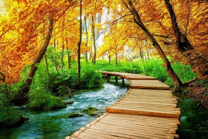 Plitvice Lakes Day Trip from Split: Waterfalls, Walkways & Local Lunch photo 3