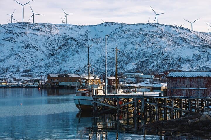 Senja and Kvaløya Discovery Tour from Tromsø: Full-Day Scenic Drive photo 3