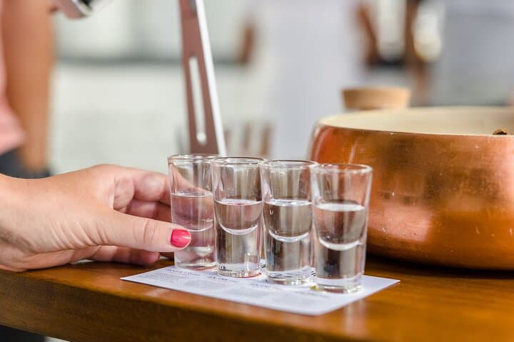 Gin Tour at Hensol Castle Distillery — Cellar Tasting & Botanical Experience photo 4