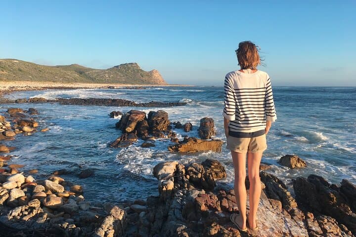 Cape Town Private Tour: Penguins, Cape Point & Chapman's Peak — Full-Day Cape Peninsula Drive photo 2