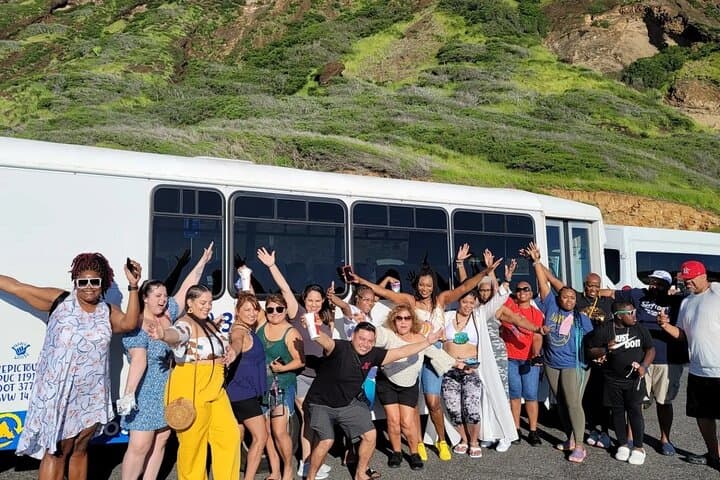 Oahu Circle-Island Day Tour: Swim with Turtles, Halona Blowhole & Dole Pineapple