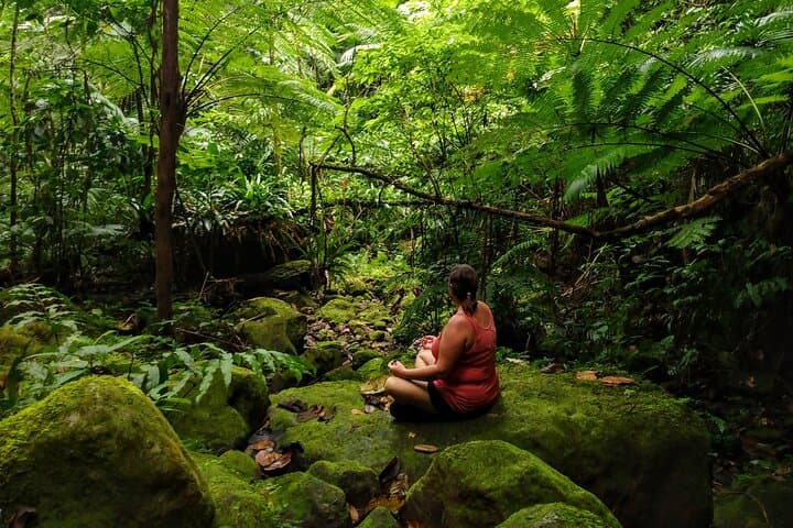 Mindfulness Rainforest Hike and Volcanic Hot Springs on Nevis