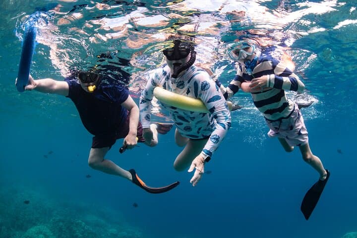 Snorkeling Kealakekua Bay: Kona’s Premier Ocean Tour Experience photo 2