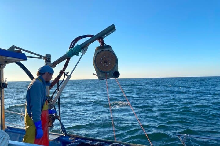 Doha Offshore Fishing Trip: Half-Day Sea Fishing & Swimming photo 6