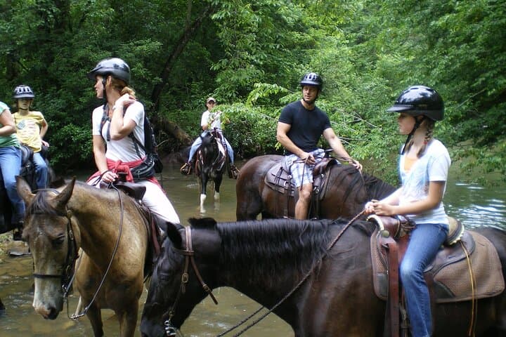 Coastal Horseback Ride in Taghazout — Ocean Ranch Trail Near Agadir photo 5
