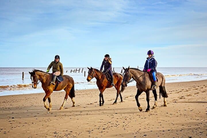 Coastal Horseback Ride in Taghazout — Ocean Ranch Trail Near Agadir photo 2