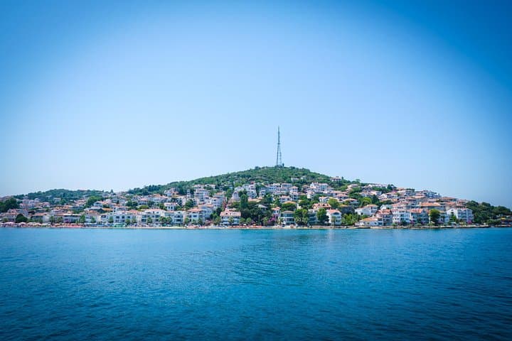 A Day on the Princes' Islands: Cruise and Walk Büyükada from Istanbul photo 1
