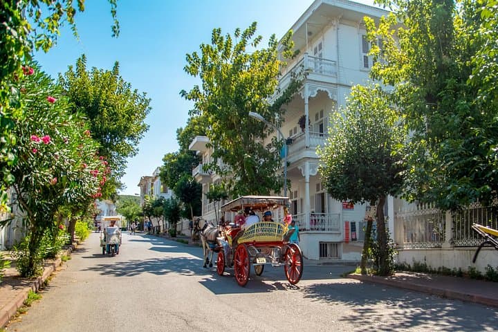 A Day on the Princes' Islands: Cruise and Walk Büyükada from Istanbul photo 4