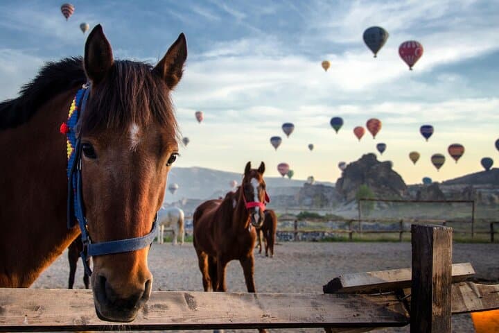 48-Hour Private Cappadocia Escape: Fly From Istanbul to Göreme's Fairy Chimneys photo 3