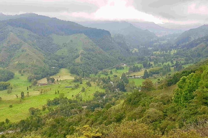 Full-Day Horseback, Coffee Finca & Willys Jeep Tour in Salento photo 3