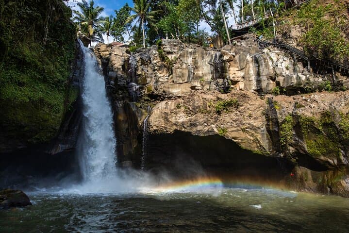 Ubud Day Tour: Tegenungan Waterfall, Monkey Forest & Tegalalang Rice Terraces (All‑Inclusive) photo 3