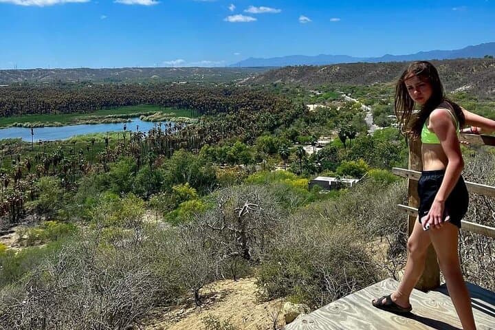 Fox Canyon Waterfall Hike — Los Cabos Oasis, Pools & Local Lunch
