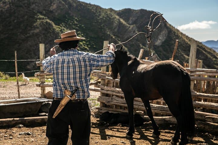 Ride with Gauchos: Full-Day Horseback Trek in the Andes with BBQ in Mendoza photo 6